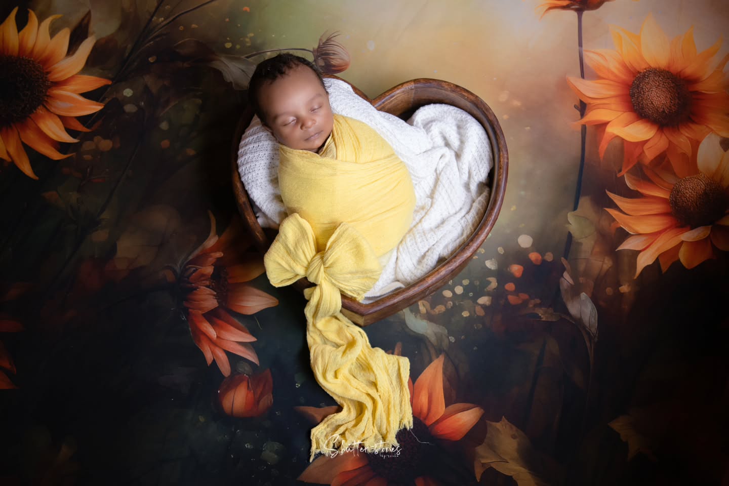 shutterstories_bysneha_1735400569_3533118509326930394_39672286033